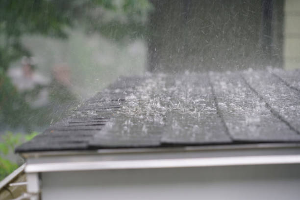 Best Cold Roofs  in Park City, IL
