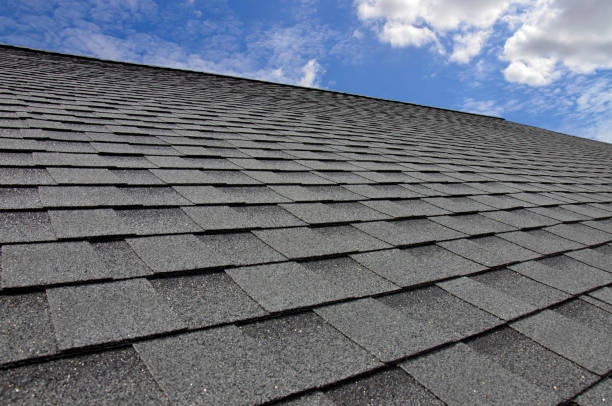 Best Asphalt Shingle Roofing  in Park City, IL